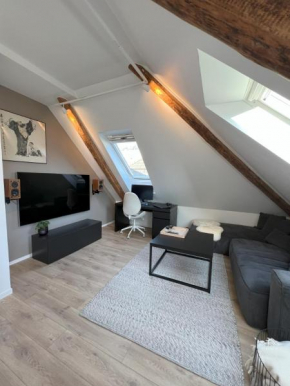 Cozy 2-room apartment near city center - WSC 2025!